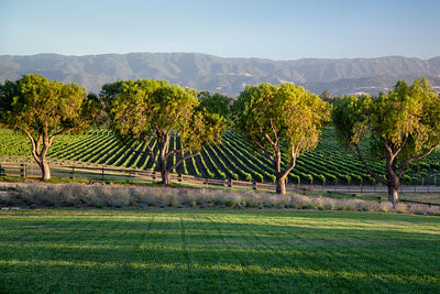 Ranches and Farms 3027