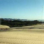Beaches 8170