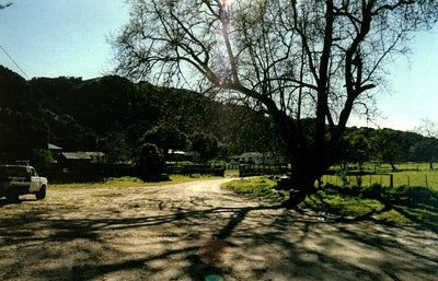 Wineries 3840