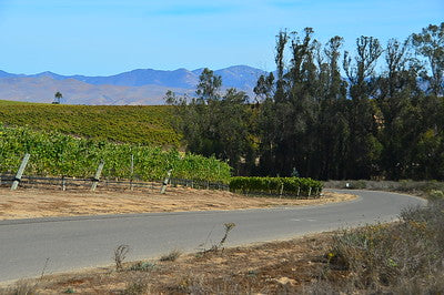 Vineyards & Wineries 1098 (Santa Maria) Roads
