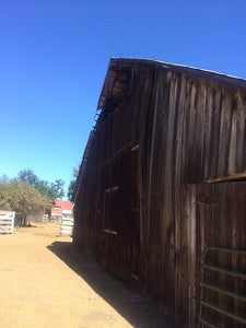 Barns 0138
