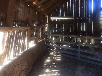 Barns 0138