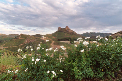 Ranches and Farms 3129