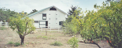 Ranches and Farms 3106