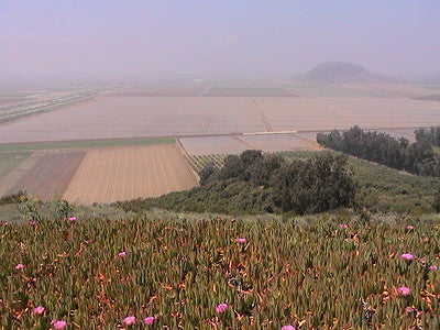 Ranches and Farms 1122