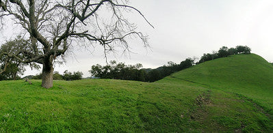 Ranches and Farms 3173