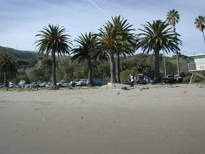 Beaches 8200