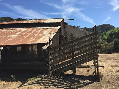 Barns 0054
