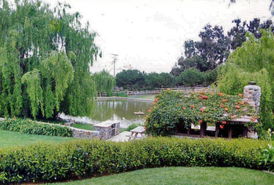Ranches and Farms 3069