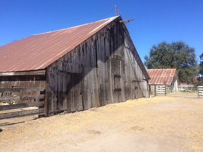Barns 0138