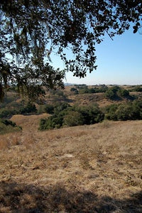Ranches and Farms 3179