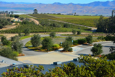 Vineyards & Wineries 1098 (Santa Maria) Winery/Facility