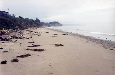Beach Properties 1120