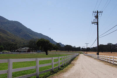 Ranches and Farms 3118
