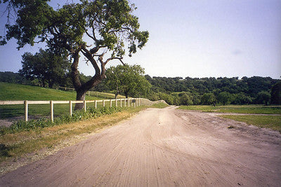 Ranches and Farms 3173