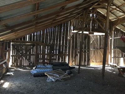 Barns 0054