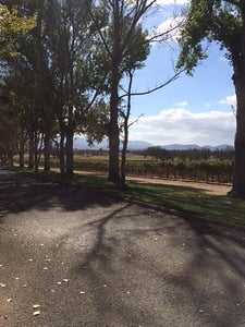 Wineries 3808