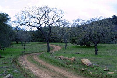 Ranches and Farms 3301