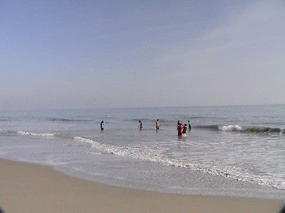 Beaches 8060