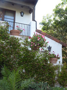 Estates 0020