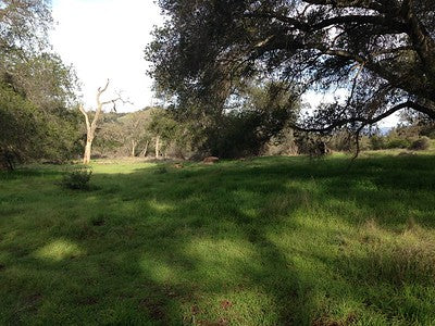 Ranches and Farms 3295