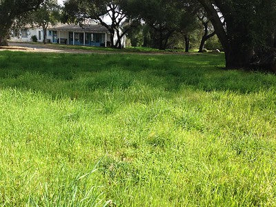 Ranches and Farms 3295