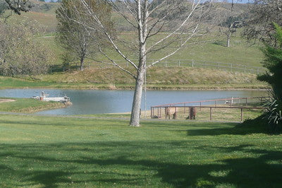 Ranches and Farms 2235