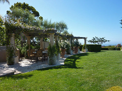 Beach Properties 1011