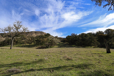 Ranches and Farms 3295