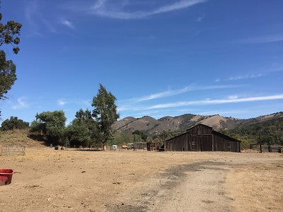Barns 0054