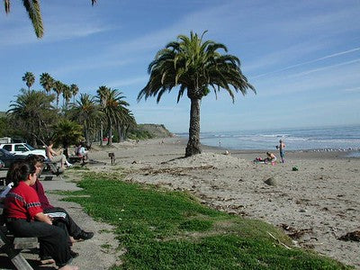 Beaches 8200