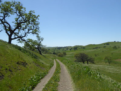 Ranches and Farms 3048