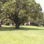 Ranches and Farms 3129