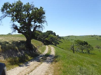 Ranches and Farms 3048