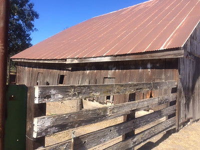 Barns 0138