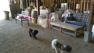 Barns 3262 (Los Alamos)