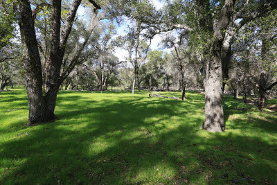 Ranches and Farms 3295