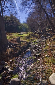 Lakes-Ponds 0271 (Ojai)