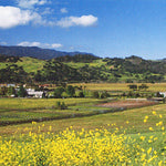 Ranches and Farms 3241