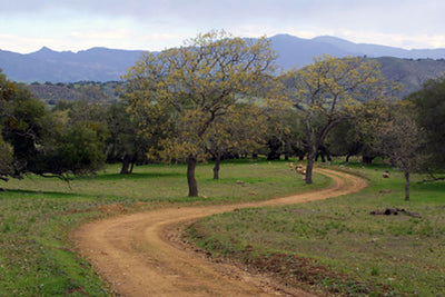Ranches and Farms 3301