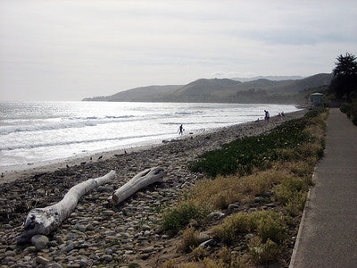 Beaches 8050