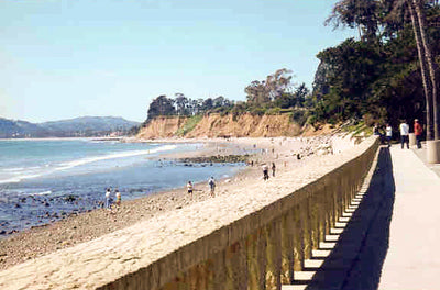 Beaches 9937