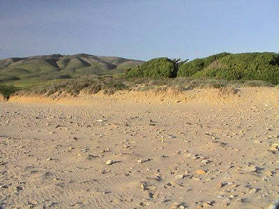 Beaches 8100