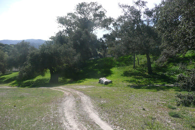 Ranches and Farms 3262