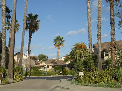 Beach Properties Looks Like Northern California