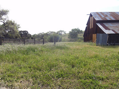 Barns 3120 (Santa Ynez)