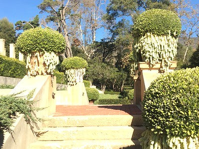 Estates 2549