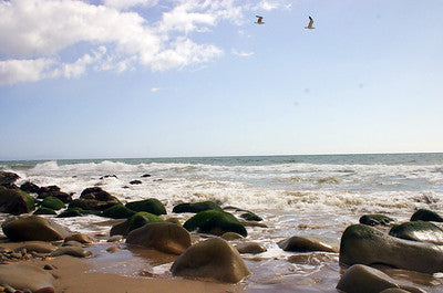 Beaches 8050