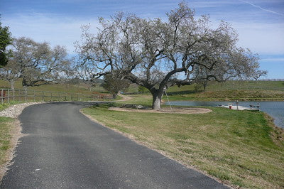 Ranches and Farms 2235