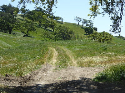 Ranches and Farms 3048